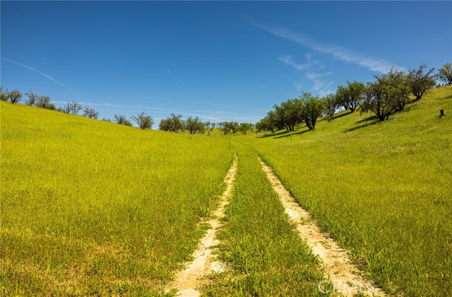 0 Geneseo Road, Paso Robles, California 93446, ,Land,For Sale,0 Geneseo Road,CRNS22102483