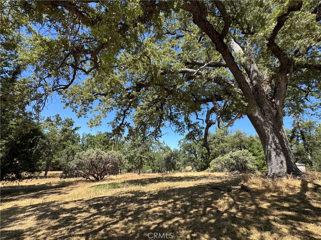 https://media.crmls.org/medias/d6d2868a-865c-4b04-8ee3-e11606af4e32.jpg?preset=X-Large