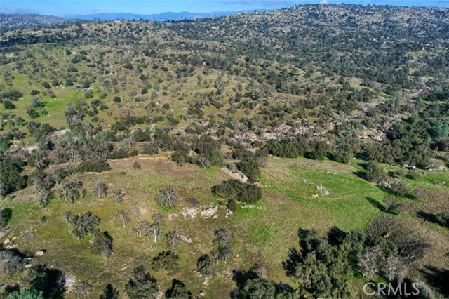 Detail Gallery Image 42 of 47 For 40461 Long Hollow Dr, Coarsegold,  CA 93614 - 3 Beds | 2 Baths