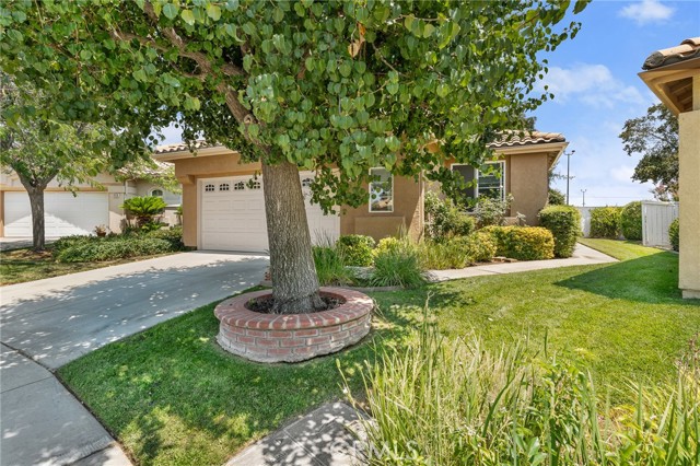 Detail Gallery Image 2 of 53 For 613 Big Spring Dr, Banning,  CA 92220 - 2 Beds | 2 Baths