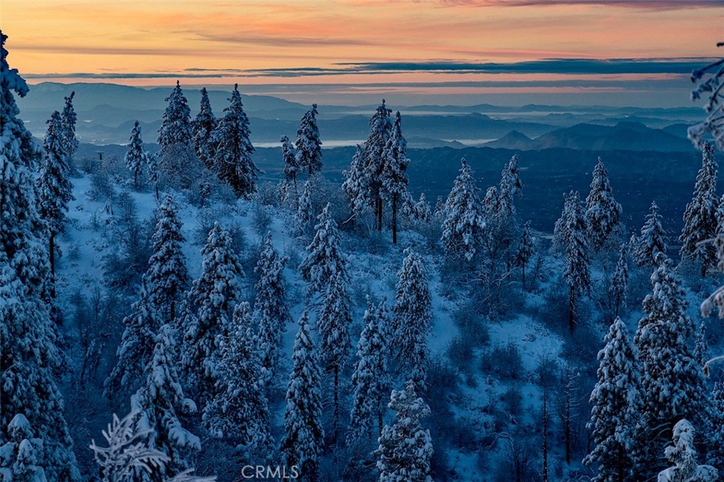 https://media.crmls.org/medias/d6d68655-2041-4114-928c-31c32b0de75c.jpg?preset=X-Large