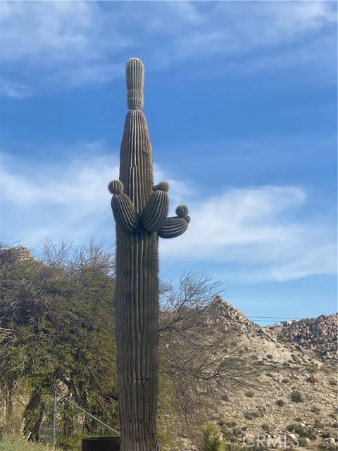 Detail Gallery Image 20 of 22 For 6161 Mirlo Rd, Yucca Valley,  CA 92284 - 2 Beds | 2 Baths