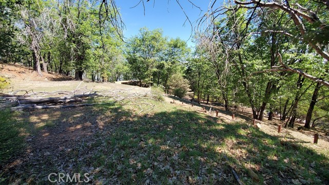 Detail Gallery Image 10 of 12 For 11890 Loch Lomond, Loch Lomond,  CA 95461 - – Beds | – Baths