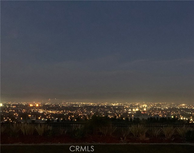 City nights at light from this backyard.