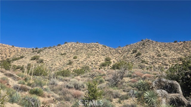 Detail Gallery Image 9 of 31 For 0 Pinon Road to Mescal Highlands, Llano,  CA 93544 - – Beds | – Baths