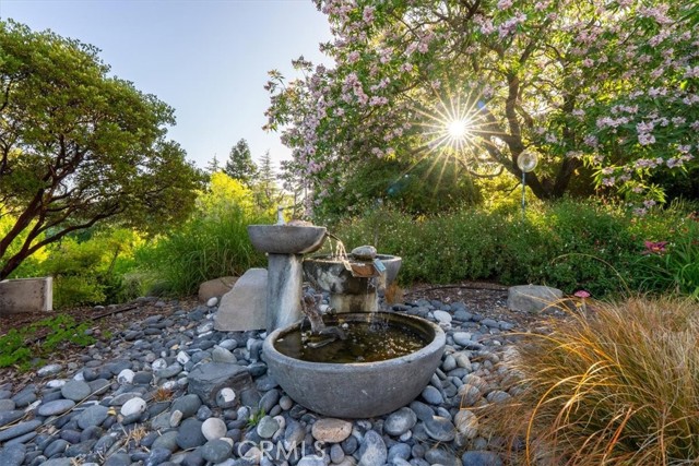 2035 Calle Pattito, Templeton CA: https://media.crmls.org/medias/d6fdfb90-b3a8-4fdc-84af-bd101ba1cbab.jpg