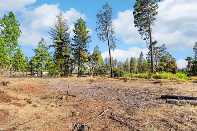 13887 Carver Drive, Magalia CA: https://media.crmls.org/medias/d6ff60ca-6a97-4400-95d8-4fcd66372bf7.jpg