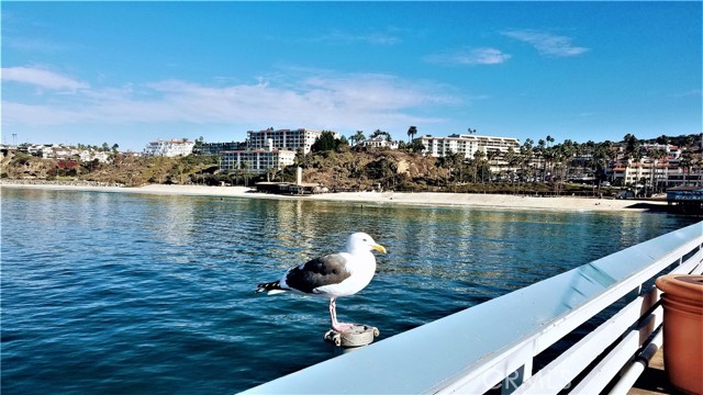 3520 Paseo Flamenco, San Clemente CA: https://media.crmls.org/medias/d7035af7-452f-479c-a3f6-cf2f4b185f44.jpg