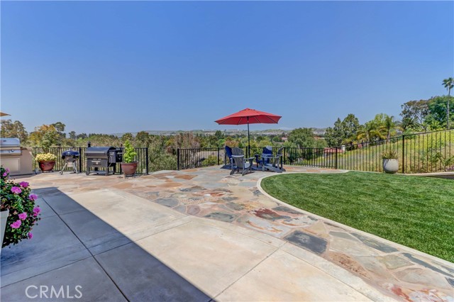 Patio and side yard 2