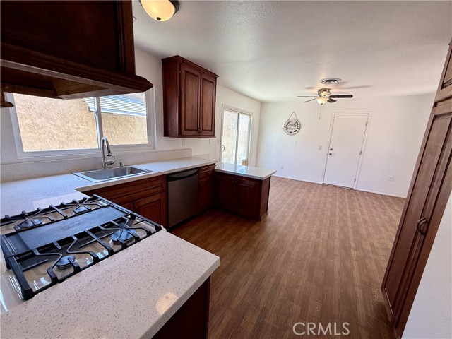 Image 4 of 20 For 335 Stetson Avenue