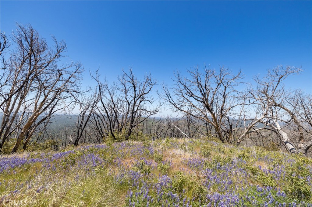 MLS #MP25088475 image #18