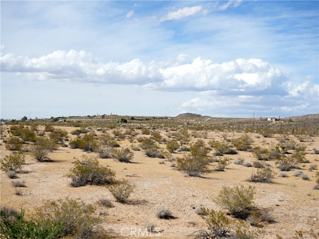 Image 20 of 21 For 0 Belmont Street