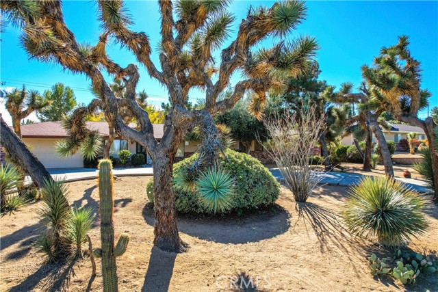 Detail Gallery Image 3 of 75 For 56849 Hidden Gold Dr, Yucca Valley,  CA 92284 - 3 Beds | 3 Baths