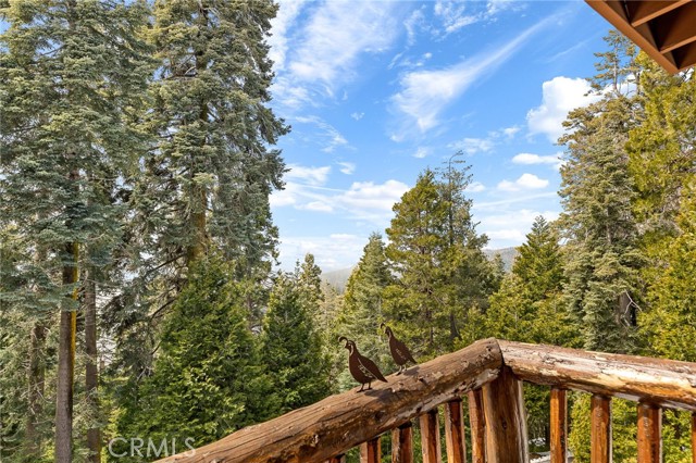 Detail Gallery Image 36 of 70 For 735 Oak Rd, Lake Arrowhead,  CA 92352 - 3 Beds | 4 Baths