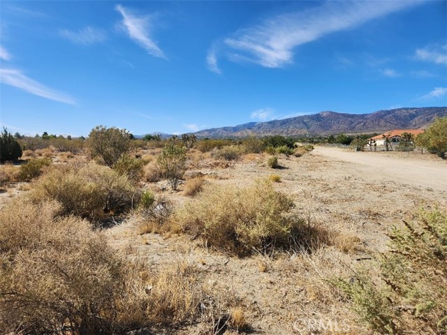 Pinon Hills, CA 92372