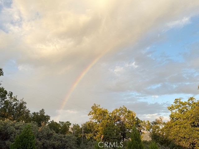 Detail Gallery Image 55 of 67 For 39468 Summit Dr, Oakhurst,  CA 93644 - 4 Beds | 3 Baths