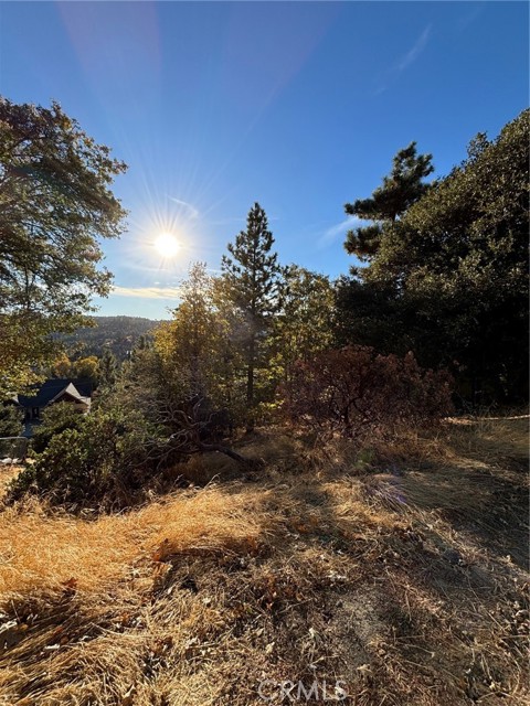 Detail Gallery Image 1 of 5 For 0 Grass Valley Rd, Lake Arrowhead,  CA 92352 - – Beds | – Baths