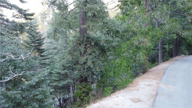 0 Lake Forest/boulder, Twin Peaks, CA, 92391 0 Lake Forest/boulder, Twin Peaks, CA, 92391