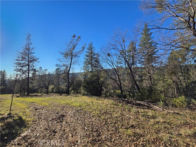 Detail Gallery Image 3 of 34 For 0 Double Eagle Way, Brownsville,  CA 95919 - – Beds | – Baths