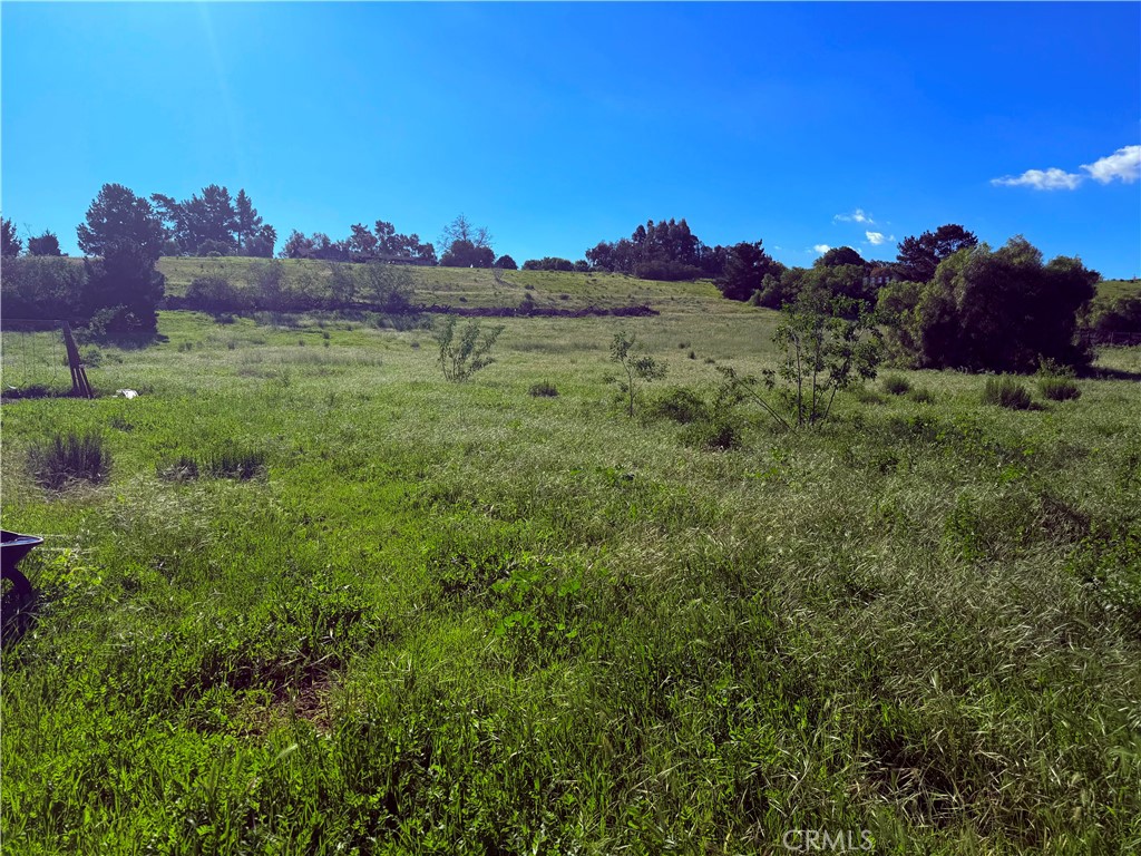 https://media.crmls.org/medias/d74fec35-3b4c-4625-a94e-cde1eaf824c7.jpg?preset=X-Large