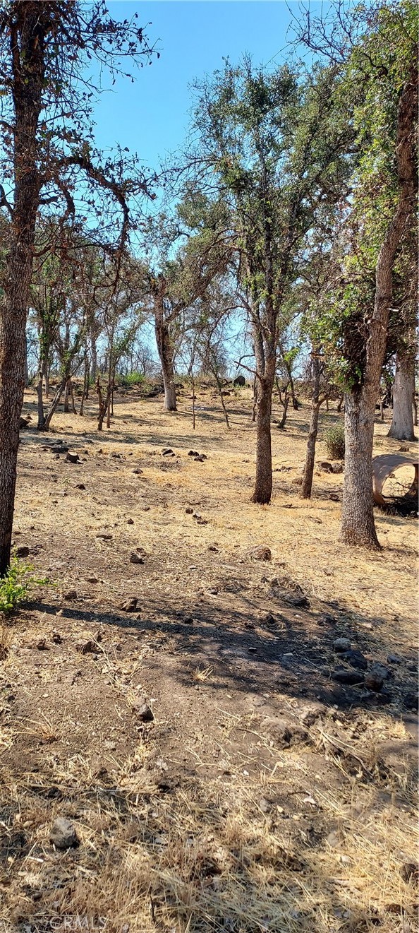 16034 13th Avenue, Clearlake CA: https://media.crmls.org/medias/d75206b2-848b-4a6b-acab-f0978381e267.jpg