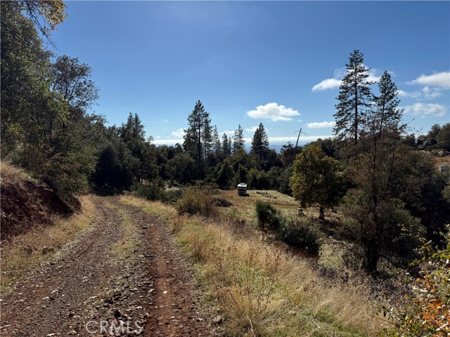 Detail Gallery Image 10 of 31 For 38088 Serpa Canyon Rd, Coarsegold,  CA 93614 - 3 Beds | 2 Baths