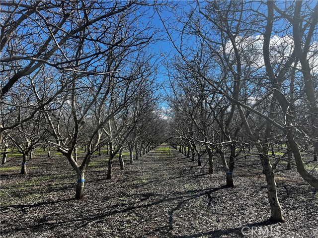 Detail Gallery Image 13 of 15 For 3900 Stephens Rd, Corning,  CA 96021 - 2 Beds | 1 Baths