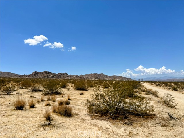 Joshua Tree, CA 92252