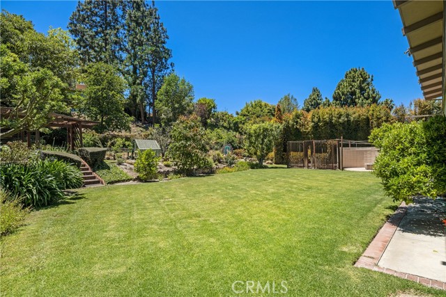 Expansive back yard