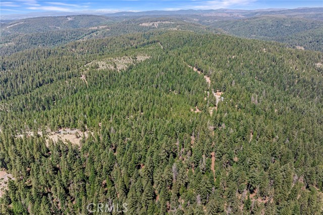 18727 Skyway, Stirling City CA: https://media.crmls.org/medias/d768460f-0a91-4041-8438-4afe2774b838.jpg