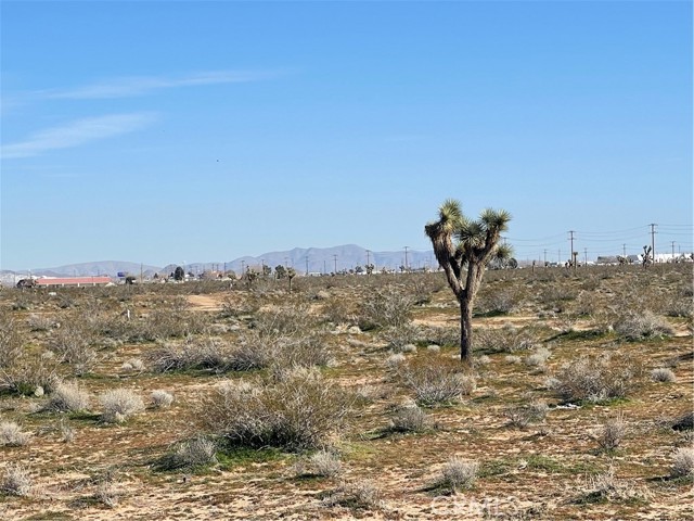 Detail Gallery Image 5 of 9 For 0 Aster Rd, Adelanto,  CA 92301 - – Beds | – Baths