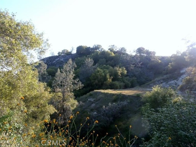 Detail Gallery Image 18 of 64 For 37 Lynx Ln, Prather,  CA 93651 - – Beds | – Baths