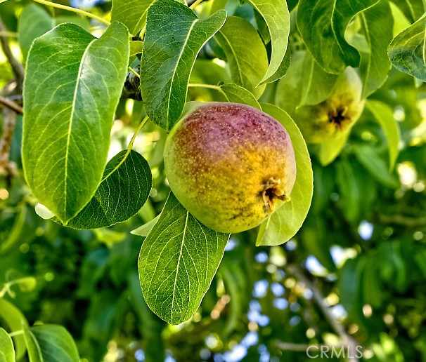https://media.crmls.org/medias/d77d3114-40ae-446a-9b9c-1ec8cec33e0b.jpg?preset=X-Large