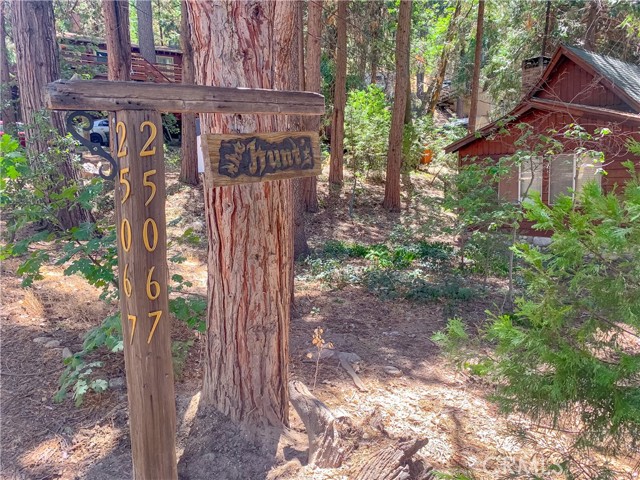 Front Image Thumbnail for CRIV25263947