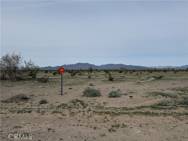 Front Image Thumbnail for CRDW26019379