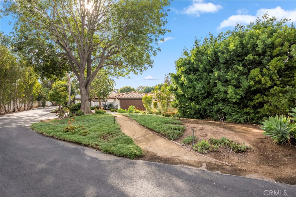 MLS #NP25259793 image #25