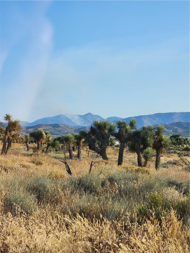MLS #CV25255822 image #5