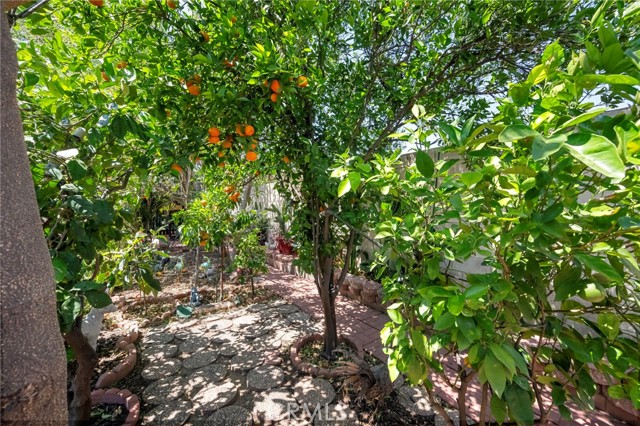 Detail Gallery Image 41 of 55 For 15070 Spring, Fontana,  CA 92335 - 5 Beds | 2 Baths