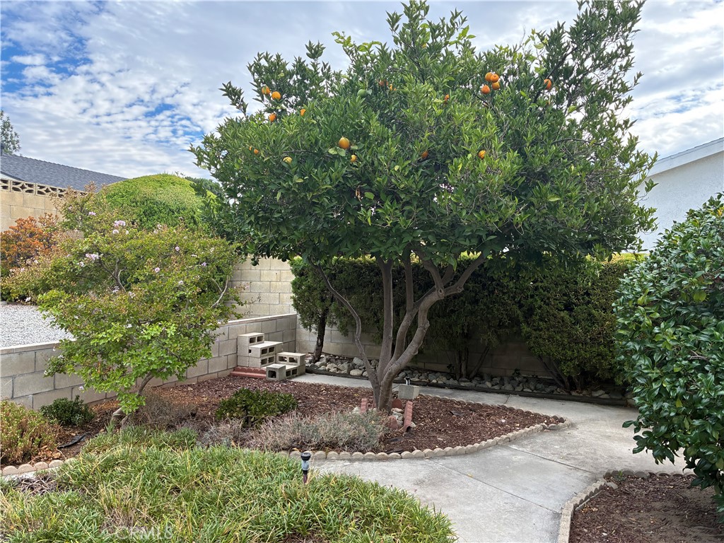 https://media.crmls.org/medias/d79a3d91-2540-4285-871c-f028f983c92a.jpg?preset=X-Large