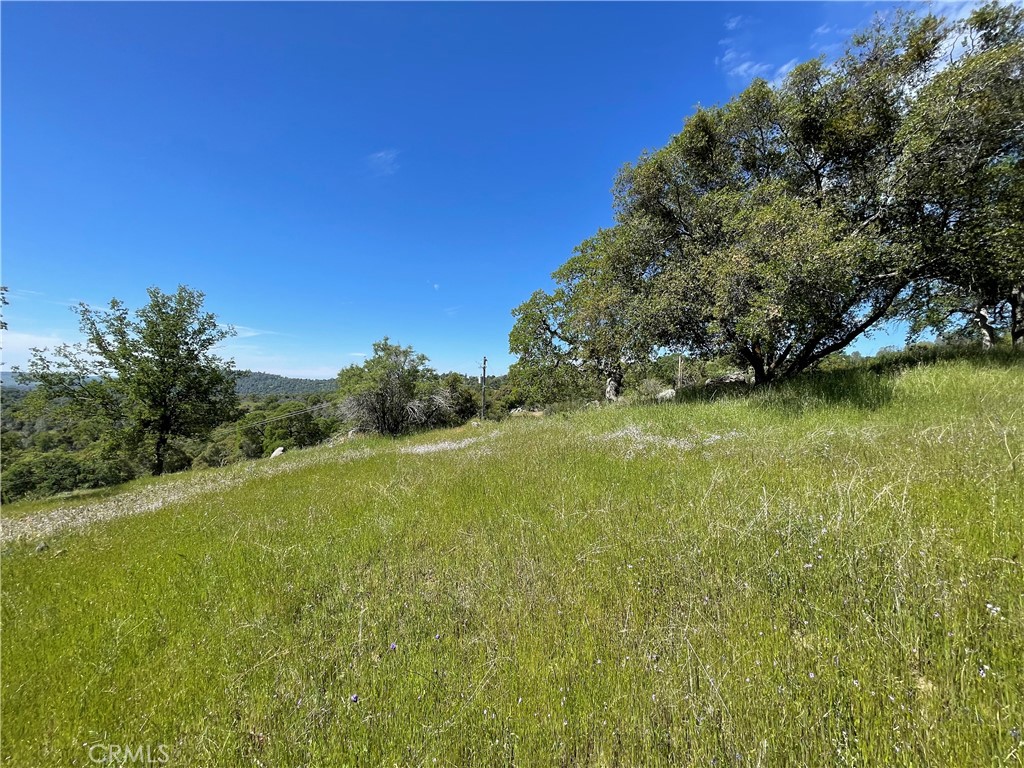 MLS #MP25096218 image #3
