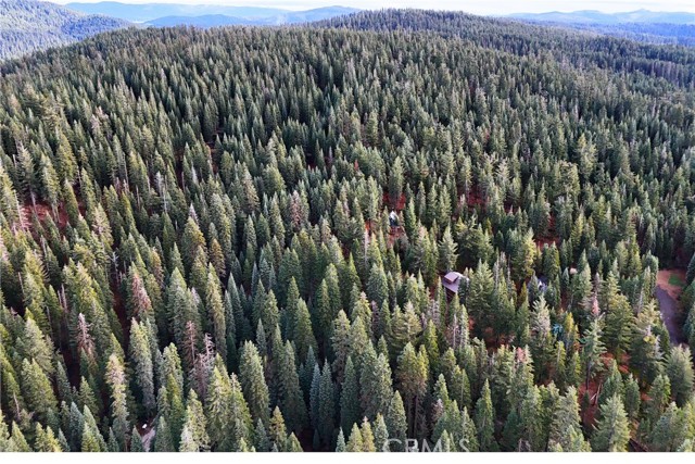 Detail Gallery Image 7 of 17 For 1100 Cleghorn Dr, Quincy,  CA 95971 - – Beds | – Baths