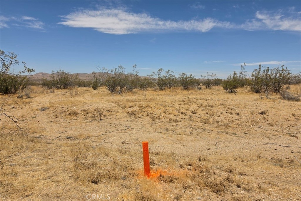 MLS #CV26151657 image #3