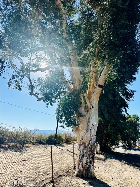 Detail Gallery Image 6 of 24 For 51063 29 Palms Hwy #55,  Morongo Valley,  CA 92256 - 1 Beds | 1 Baths