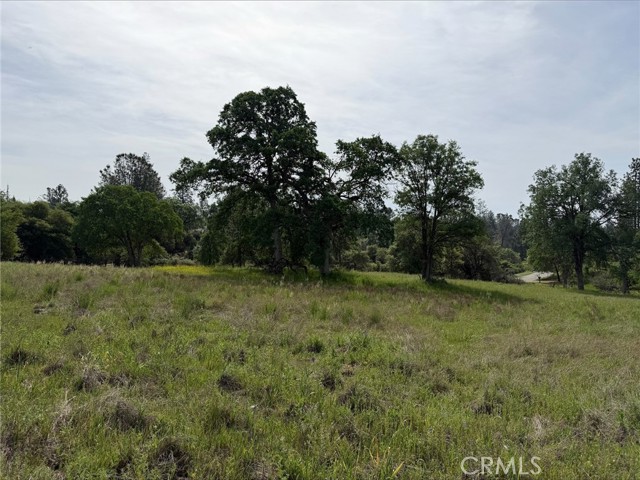 Detail Gallery Image 7 of 8 For 5 Acres Mountain Springs Rd, North Fork,  CA 93643 - – Beds | – Baths