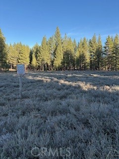 Detail Gallery Image 10 of 15 For 34557 Polique Canyon, Fawnskin,  CA 92333 - – Beds | – Baths