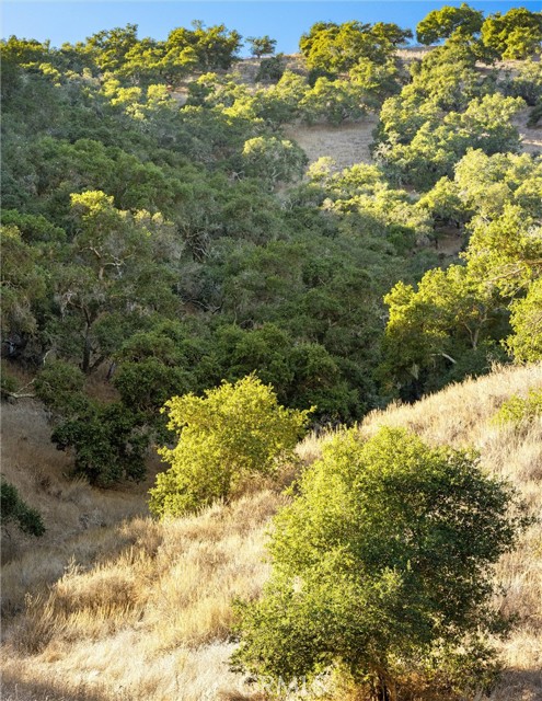 Detail Gallery Image 60 of 75 For 0 Ca Hwy 135, Los Alamos,  CA 93440 - 3 Beds | 2 Baths