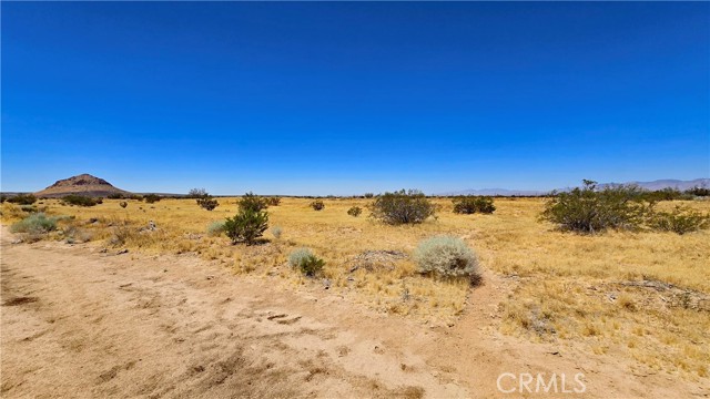 Front Image Thumbnail for CRSR26139984