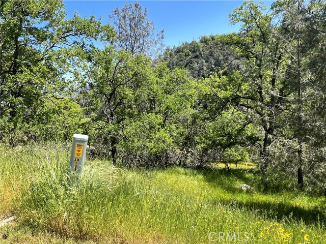 Detail Gallery Image 7 of 11 For 0 Lakeside Dr, Mariposa,  CA 95338 - – Beds | – Baths