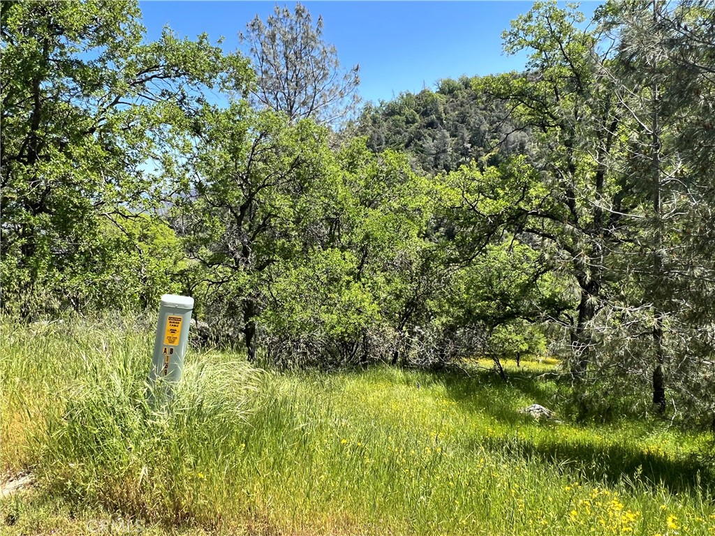 MLS #MP24086965 image #6