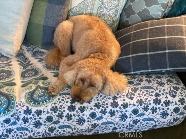 3608 Laurel Avenue, Manhattan Beach, California 90266, 2 Bedrooms Bedrooms, ,1 BathroomBathrooms,Residential,Sold,Laurel,SB21205339